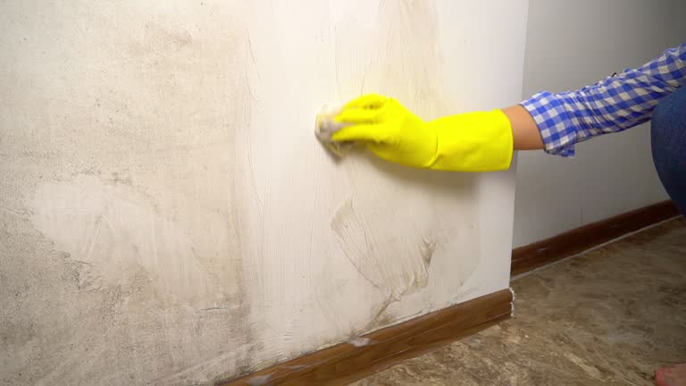 Best HVAC Mold Inspection and Cleaning  in Osseo, MN