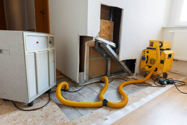  Osseo, MN Mold Removal Pros